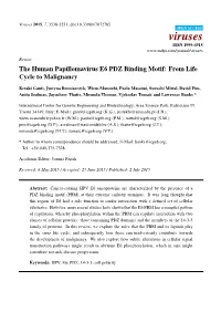 The Human Papillomavirus E6 PDZ Binding Motif: from Life Cycle to Malignancy