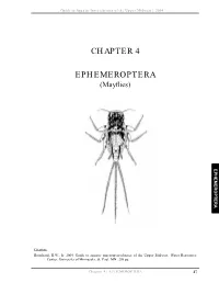 Chapter 4 Ephemeroptera