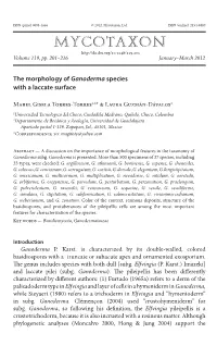 &lt;I&gt;Ganoderma&lt;/I&gt;