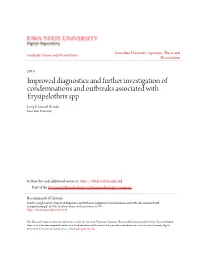 Improved Diagnostics and Further Investigation of Condemnations and Outbreaks Associated with Erysipelothrix Spp Joseph Samuel Bender Iowa State University