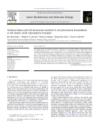 Insect Biochemistry and Molecular Biology 41 (2011) 715E722