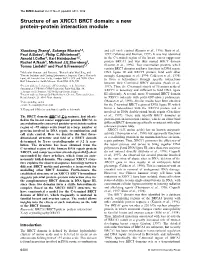 Structure of an XRCC1 BRCT Domain: a New Protein-Protein
