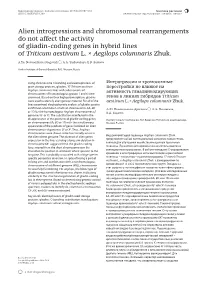 Alien Introgressions and Chromosomal Rearrangements Do Not Affect the Activity of Gliadin-Coding Genes in Hybrid Lines of Triticum Aestivum L
