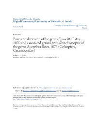 Provisional Revision of the Genus &lt;I&gt;Epimelitta&lt;/I&gt; Bates, 1870 And