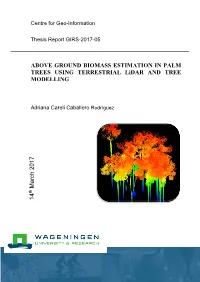 ABOVE GROUND BIOMASS ESTIMATION in PALM TREES USING TERRESTRIAL Lidar and TREE MODELLING 14 March 2017