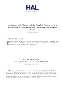 Activators and Effectors of the Small G Protein Arf1 in Regulation of Golgi Dynamics During the Cell Division Cycle