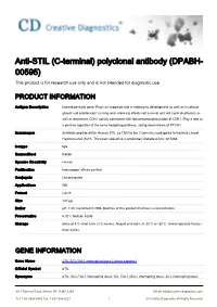 Anti-STIL (C-Terminal) Polyclonal Antibody (DPABH- 00595) This Product Is for Research Use Only and Is Not Intended for Diagnostic Use