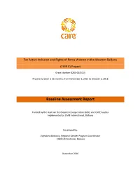 Baseline Assessment Report