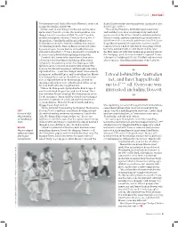I Stood Behind the Australian Net, and Ian Chappell Told Me to F*** Off