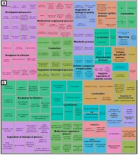 Localization Developmental Process Response to Stimulus Signaling