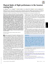 Physical Limits of Flight Performance in the Heaviest Soaring Bird