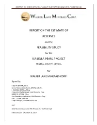 Report on the Reserve Estimate & Feasibility Study