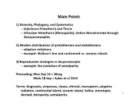Subclass Prototheria