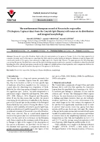 Trichoptera: Leptoceridae) from the Courish Spit (Russia) with Notes on Its Distribution and Imaginal Morphology