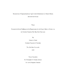 1 Resurrection of Organophosphorus-Aged Acetylcholinesterase Via Mannich Bases Derived from Proline Thesis Presented in Partial