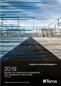 2019 REPORT on CORPORATE GOVERNANCE and OWNERSHIP STRUCTURES Terna S.P.A
