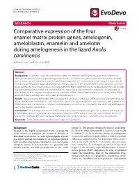 Comparative Expression of the Four Enamel Matrix Protein Genes