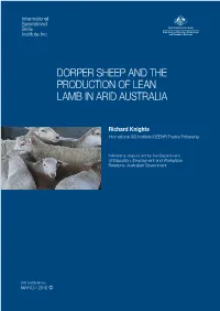 Dorper Sheep and the Production of Lean Lamb in Arid Australia