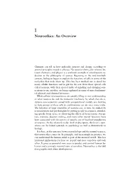 Neuroethics: an Overview