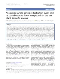 An Ancient Whole-Genome Duplication Event and Its Contribution to Flavor