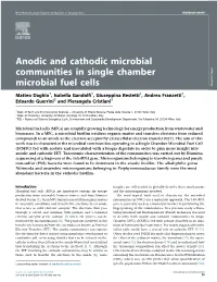 Anodic and Cathodic Microbial Communities in Single Chamber