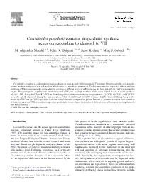 Coccidioides Posadasii Contains Single Chitin Synthase Genes Corresponding to Classes I to VII