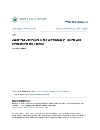 Quantifying Dimensions of the Vowel Space in Patients with Schizophrenia and Controls