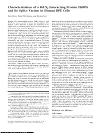 Characterization of a Bcl-XL-Interacting Protein FKBP8 and Its Splice Variant in Human RPE Cells