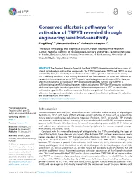 Conserved Allosteric Pathways for Activation of TRPV3 Revealed Through Engineering Vanilloid-Sensitivity Feng Zhang1,2*, Kenton Jon Swartz1, Andres Jara-Oseguera1*