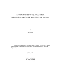 First Line of Title