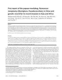 First Report of the Papaya Mealybug, Paracoccus Marginatus (Hemiptera