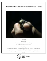 Bats of Montana: Identification and Natural History