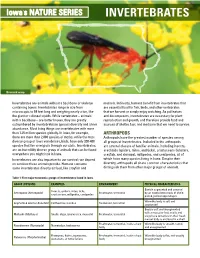 Invertebrates
