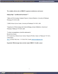 1 the Multiple Cellular Roles of SMUG1 in Genome Maintenance And