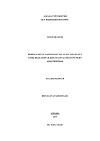 10065213.Pdf