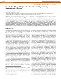 Quantitative Study of Polymer Conformation and Dynamics by Single-Particle Tracking