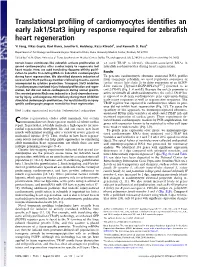 Translational Profiling of Cardiomyocytes Identifies an Early Jak1/Stat3 Injury Response Required for Zebrafish Heart Regenerati