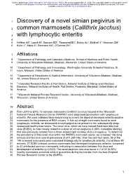 Discovery of a Novel Simian Pegivirus in Common Marmosets