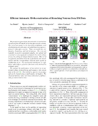Efficient Automatic 3D-Reconstruction of Branching Neurons from EM Data