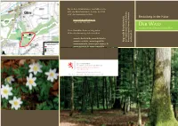 Kehlen-D.Pdf