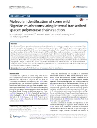 Molecular Identification of Some Wild Nigerian Mushrooms Using Internal
