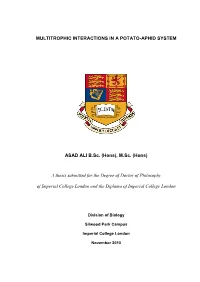 MULTITROPHIC INTERACTIONS in a POTATO-APHID SYSTEM ASAD ALI B.Sc. (Hons), M.Sc. (Hons) a Thesis Submitted for the Degree of Doct