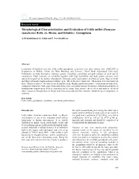 Morphological Characterization and Evaluation of Little Millet (Panicum Sumatrense Roth. Ex. Roem. and Schultz.) Germplasm