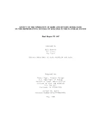 Effect of the Operation of Kerr and Hungry Horse Dams on the Reproductive Success of Kokanee in the Flathead System