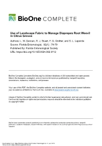 Use of Landscape Fabric to Manage Diaprepes Root Weevil in Citrus Groves