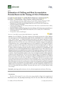 Estimation of Chilling and Heat Accumulation Periods Based on the Timing of Olive Pollination