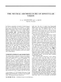 The Neural Architecture of Binocular Vision