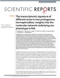The Transcriptomic Signature of Different Sexes in Two Protogynous