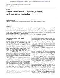 Human Ribonuclease P: Subunits, Function, and Intranuclear Localization