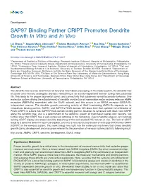 SAP97 Binding Partner CRIPT Promotes Dendrite Growth in Vitro and in Vivo
